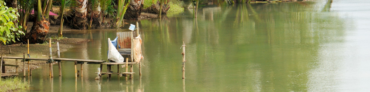 Ngày nhà vệ sinh thế giới